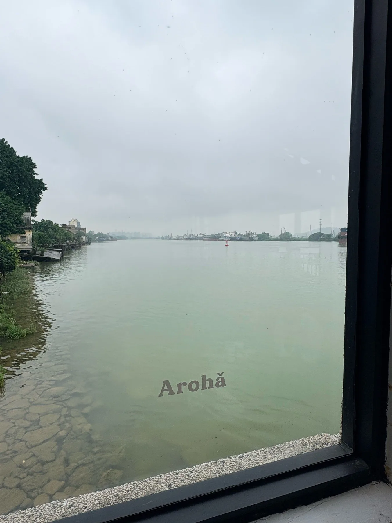 Photo 5 from Arohǎ (Passenger Terminal)
