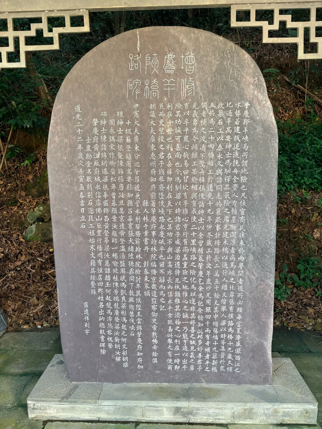 Photo 6 from Lingyang Gorge Ancient Plank Road Forest Park