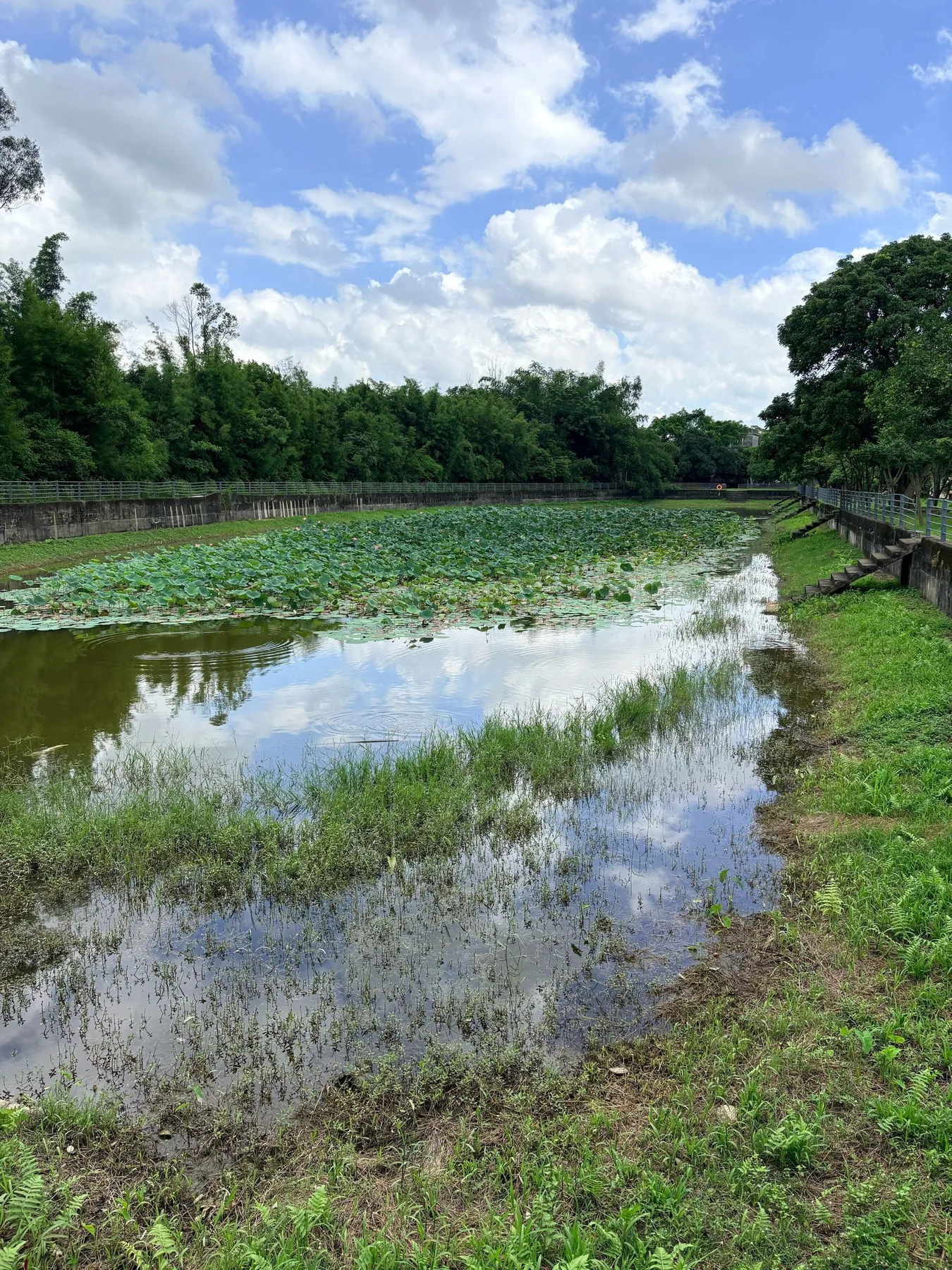 Photo 3 from Kaiping Diaolou Cultural Tourism Zone - Majianglong Scenic Area
