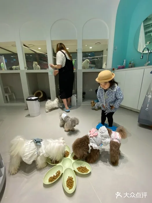 Photo 3 from PET WISH (BFC Bund Finance Center Store)